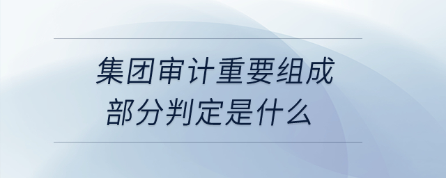 集團審計重要組成部分判定是什么？