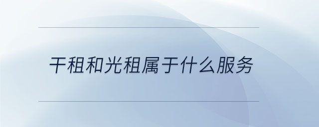 干租和光租屬于什么服務