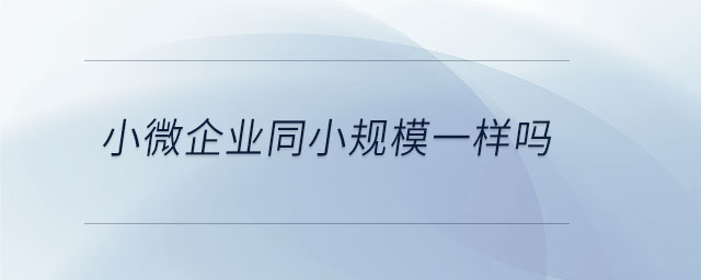 小微企業同小規模一樣嗎