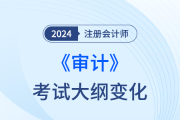 注冊會計師審計大綱變化2024年都有哪些？