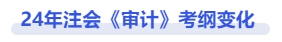 24年審計考綱變化