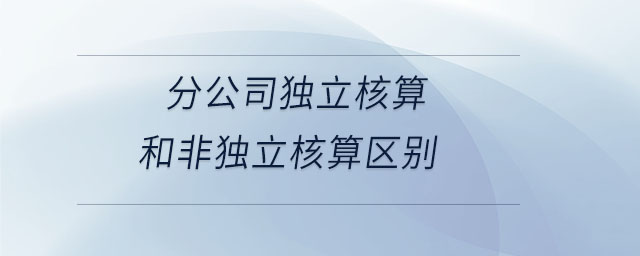 分公司獨立核算和非獨立核算區別