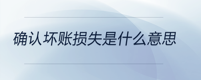 確認(rèn)壞賬損失是什么意思