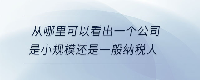 從哪里可以看出一個公司是小規模還是一般納稅人