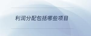 利潤分配包括哪些項目