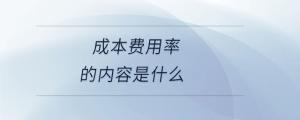 成本費用率的內容是什么