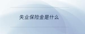 失業保險金是什么
