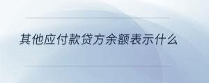 其他應付款貸方余額表示什么