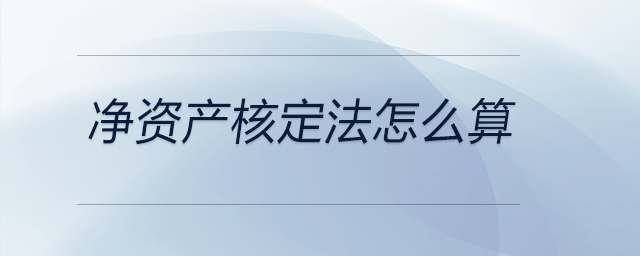 凈資產(chǎn)核定法怎么算