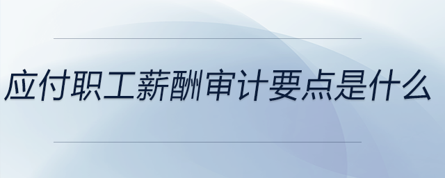 應付職工薪酬審計要點是什么