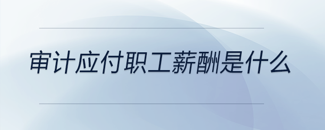 審計應付職工薪酬是什么
