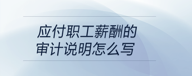 應付職工薪酬的審計說明怎么寫