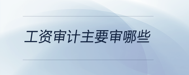 工資審計主要審哪些