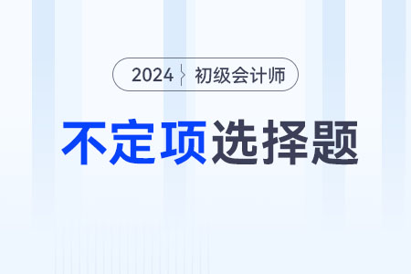 應收賬款_2024年《初級會計實務》不定項專項練習