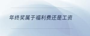 年終獎屬于福利費還是工資