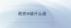 稅務m級什么級