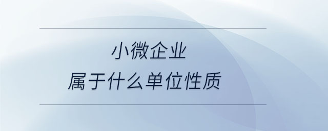 小微企業屬于什么單位性質