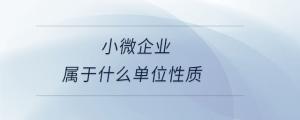 小微企業屬于什么單位性質
