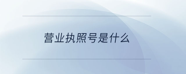 營業執照號是什么