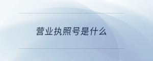 營業執照號是什么