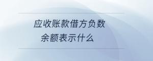 應收賬款借方負數余額表示什么