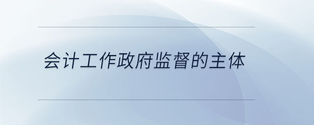 會計工作政府監督的主體