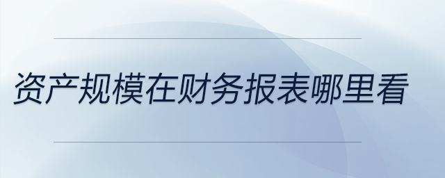 資產規模在財務報表哪里看