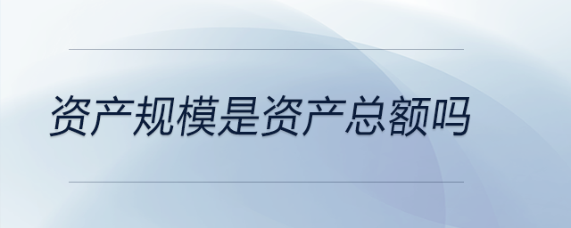 資產規模是資產總額嗎