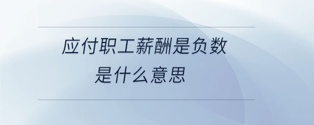 應付職工薪酬是負數是什么意思