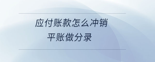應付賬款怎么沖銷平賬做分錄