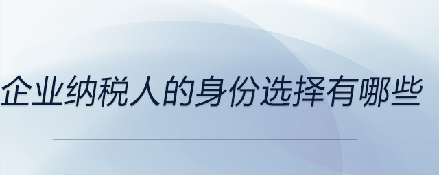 企業納稅人的身份選擇有哪些