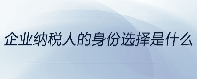 企業納稅人的身份選擇是什么