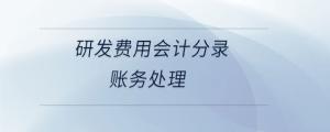 研發費用會計分錄賬務處理