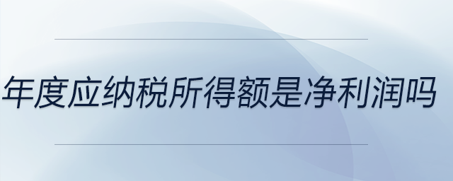 年度應納稅所得額是凈利潤嗎