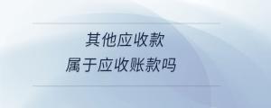 其他應收款屬于應收賬款嗎
