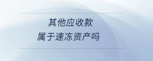 其他應收款屬于速凍資產嗎