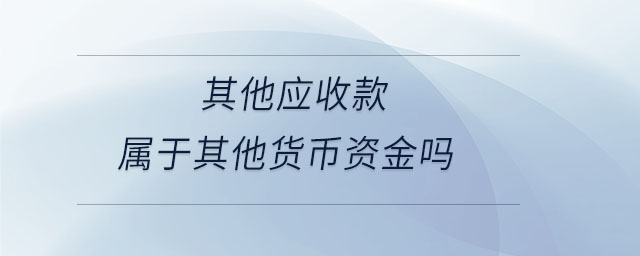 其他應收款屬于其他貨幣資金嗎