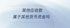 其他應收款屬于其他貨幣資金嗎