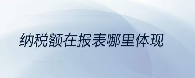 納稅額在報(bào)表哪里體現(xiàn)