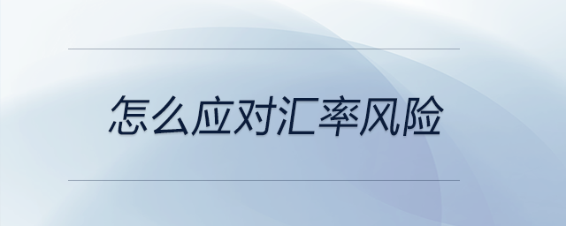 怎么應對匯率風險
