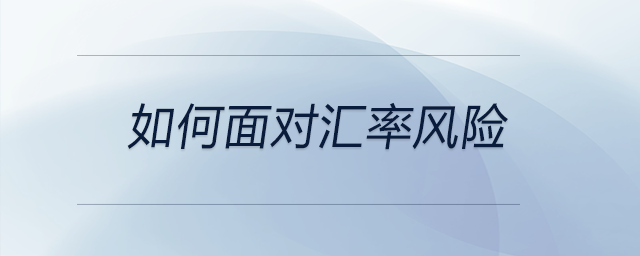 如何面對匯率風險
