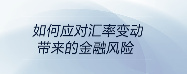 如何應對匯率變動帶來的金融風險
