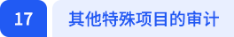 其他特殊項(xiàng)目的審計(jì)