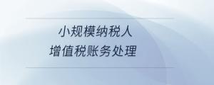 小規模納稅人增值稅賬務處理