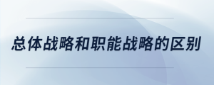 總體戰略和職能戰略的區別