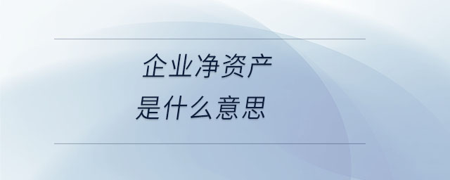 企業凈資產是什么意思