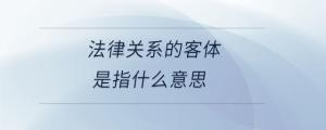 法律關系的客體是指什么意思