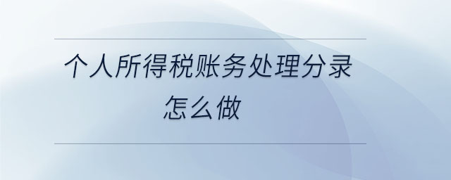 個(gè)人所得稅賬務(wù)處理分錄怎么做