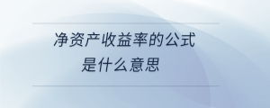 凈資產收益率的公式是什么意思