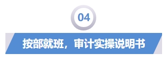 04審計(jì)責(zé)任